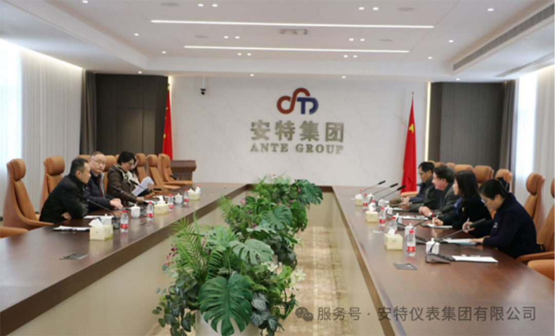 安特儀表集團(tuán)有限公司