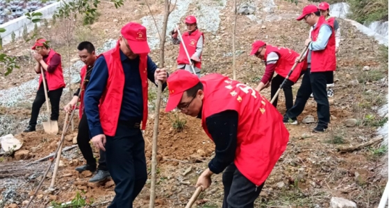 村企共建，共植先鋒林