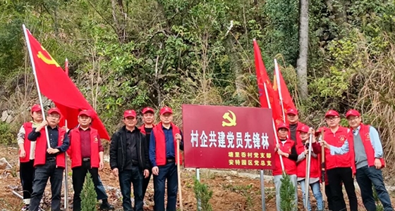 村企共建，共植先鋒林